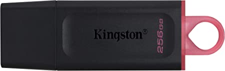 MEMORIA USB 256GB 3.2 KINGSTON DTXM/256GB
