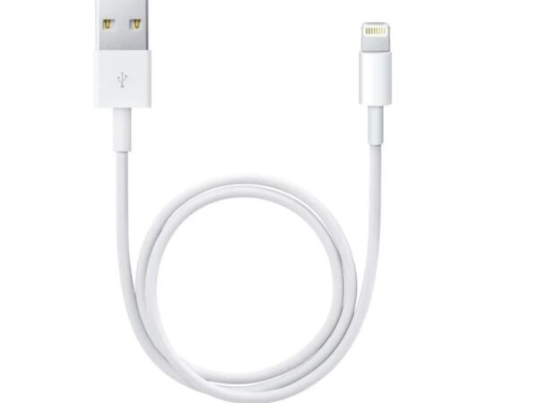 CAVO LIGHTNING A USB 0,5M APPLE ME291ZM/A