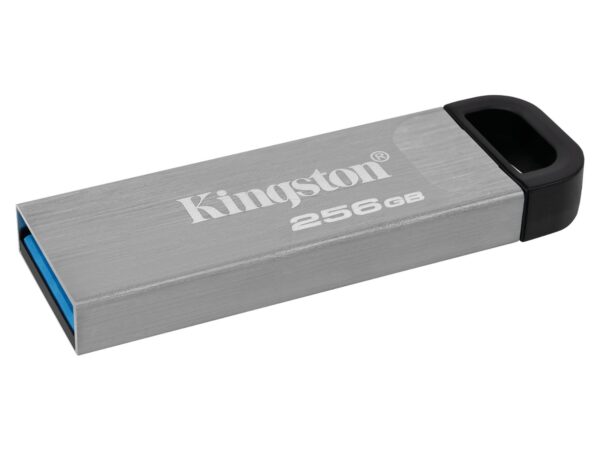 MEMORIA USB 256GB 3.2 KINGSTON DTKN/256GB