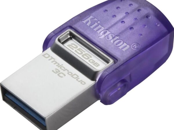 MEMORIA USB 256GB 3.2 KINGSTON DTDUO3CG3/256GB