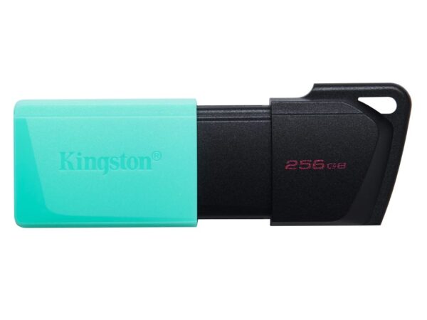 MEMORIA USB 256GB 3.2 KINGSTON DTXM/256GB