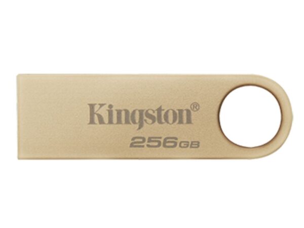 MEMORIA USB 256GB 3.2 KINGSTON DTSE9G3/256GB