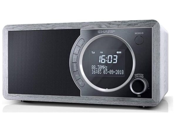 RADIO DIGITALE PORTATILE SHARP DR-450 GRAY